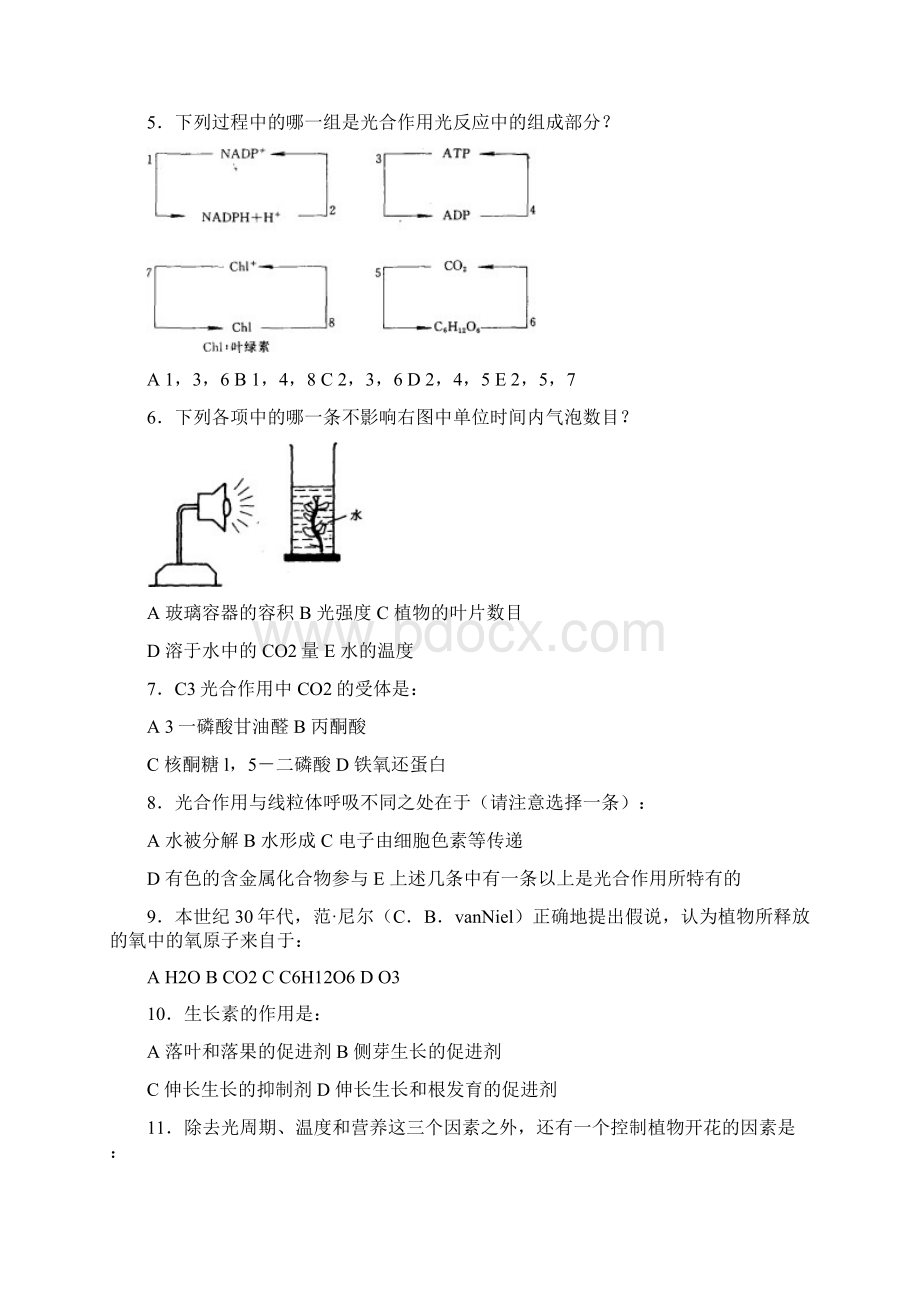 第五届国际生物奥林匹克竞赛试题.docx_第2页