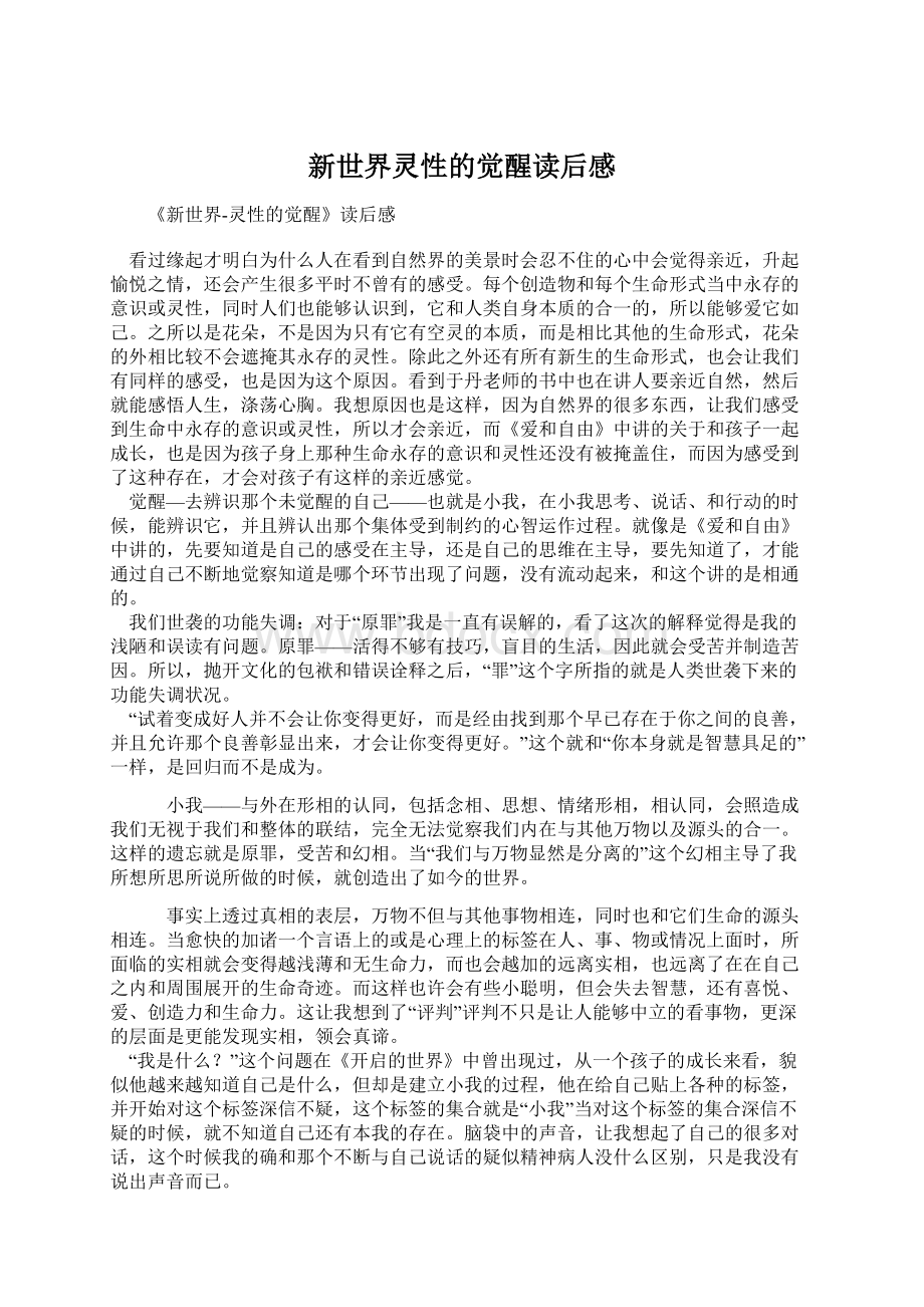 新世界灵性的觉醒读后感Word文档下载推荐.docx