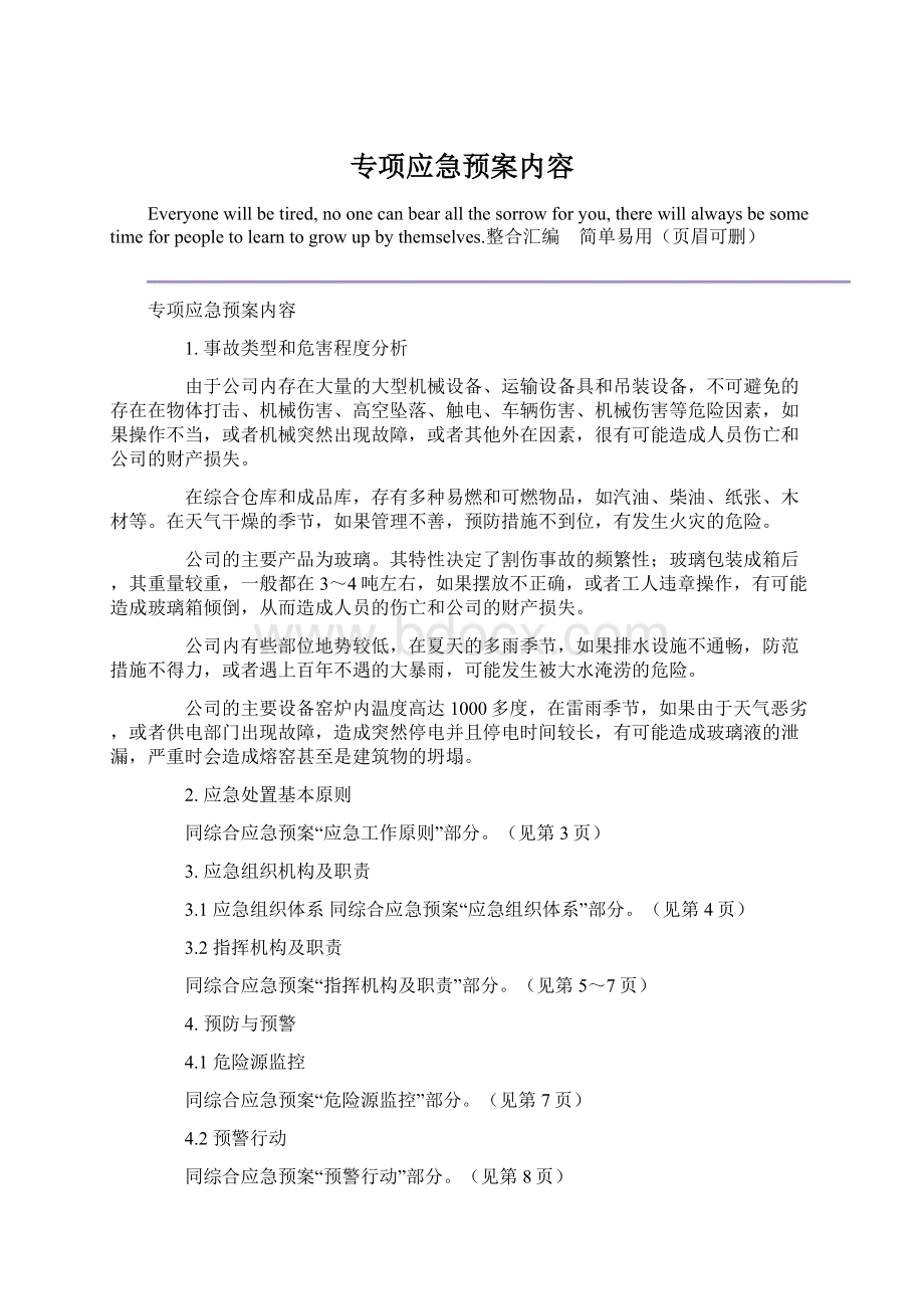 专项应急预案内容文档格式.docx