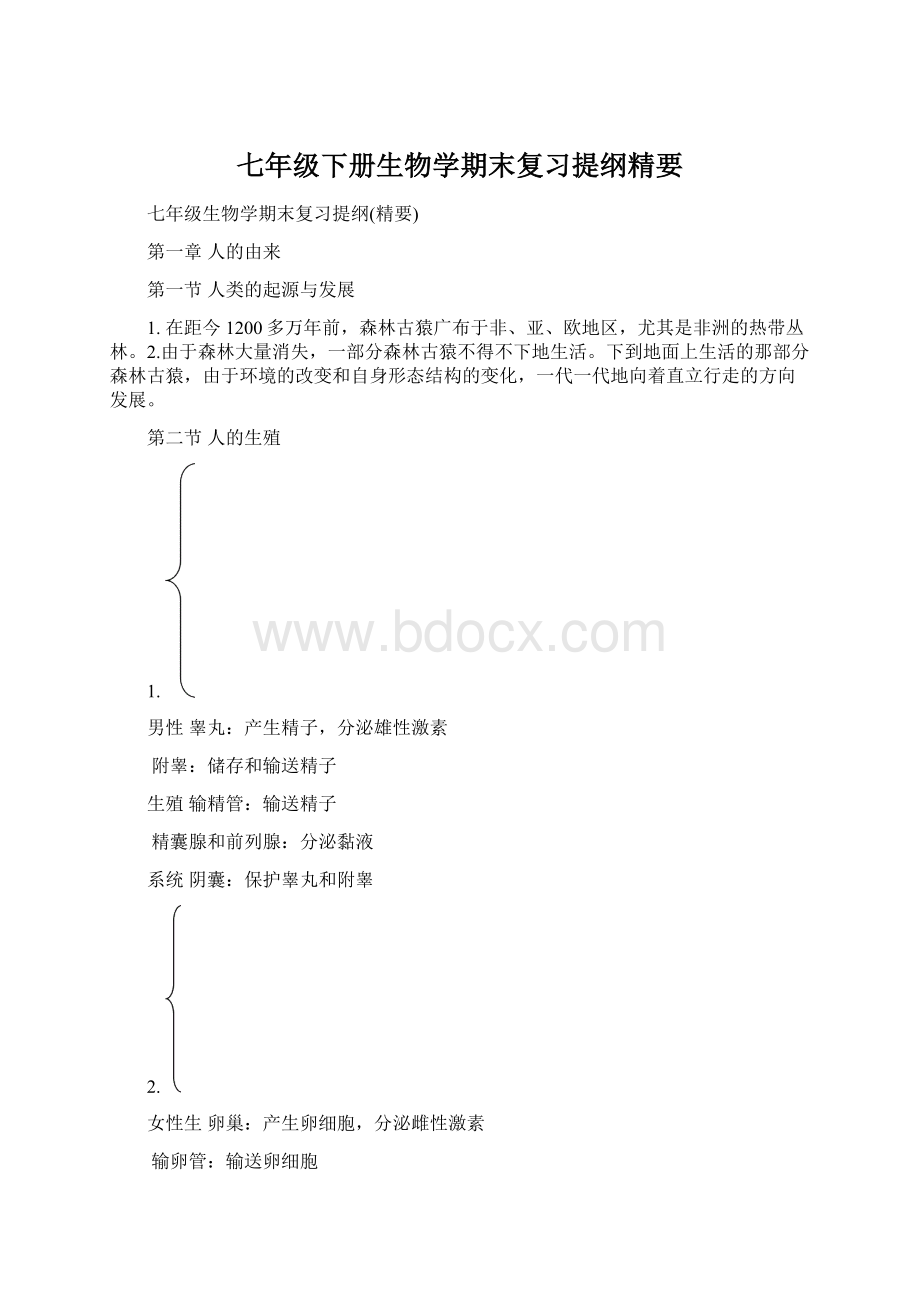 七年级下册生物学期末复习提纲精要Word文档下载推荐.docx