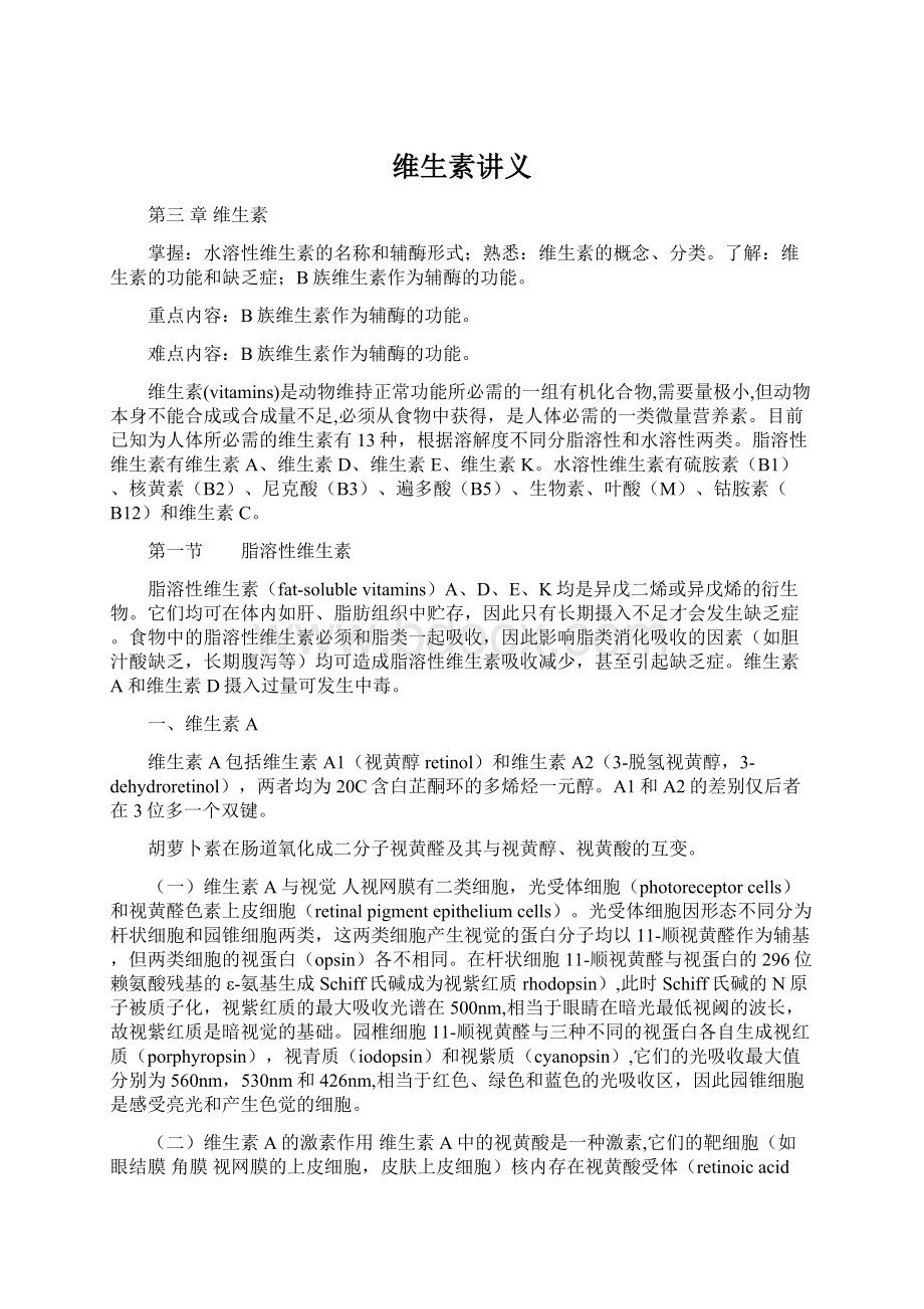 维生素讲义文档格式.docx_第1页