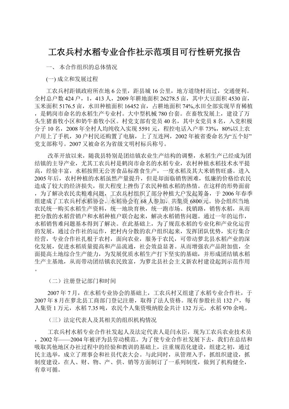 工农兵村水稻专业合作社示范项目可行性研究报告.docx