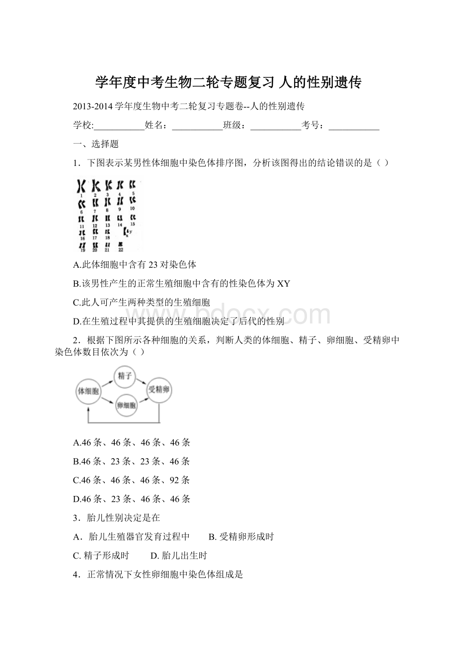 学年度中考生物二轮专题复习 人的性别遗传.docx