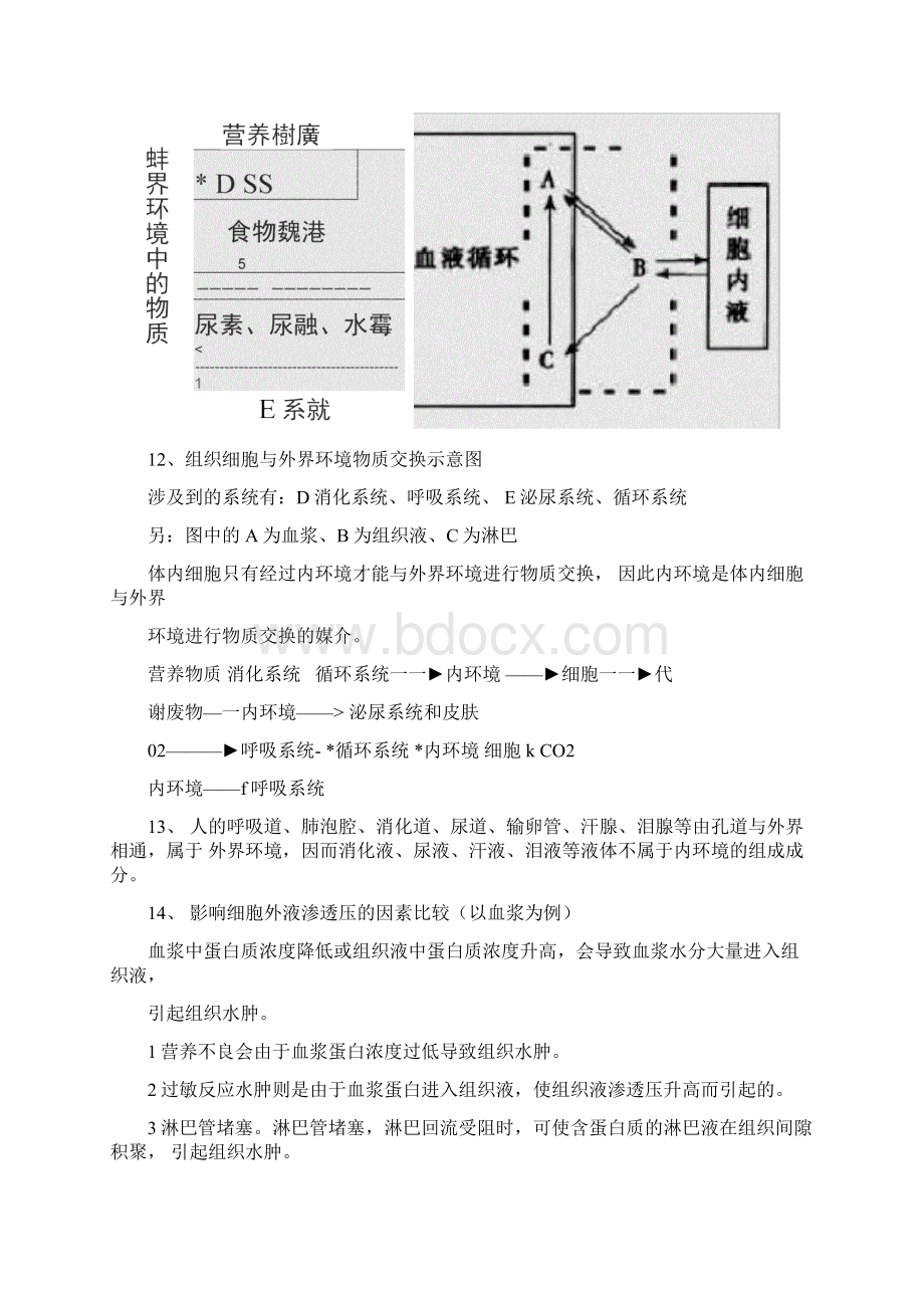 高中生物必修三知识点总结知识点齐全好用.docx_第3页