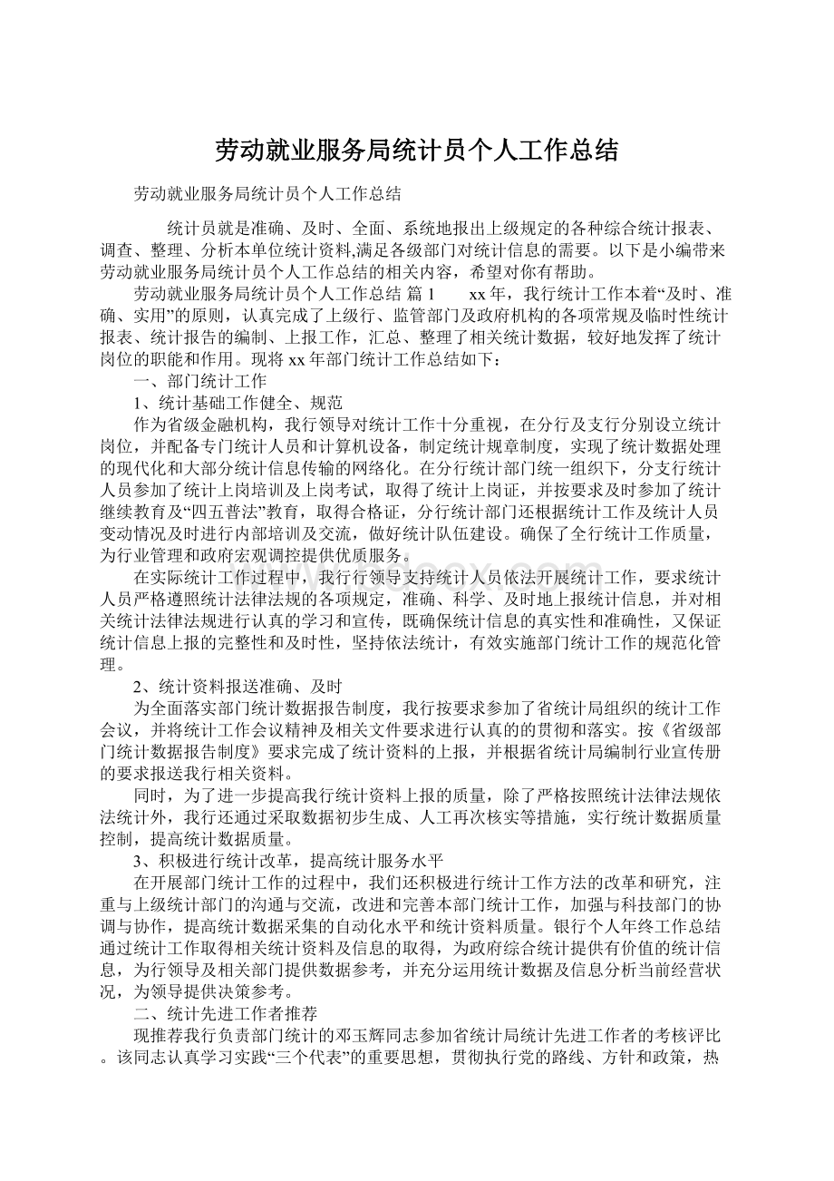 劳动就业服务局统计员个人工作总结.docx_第1页