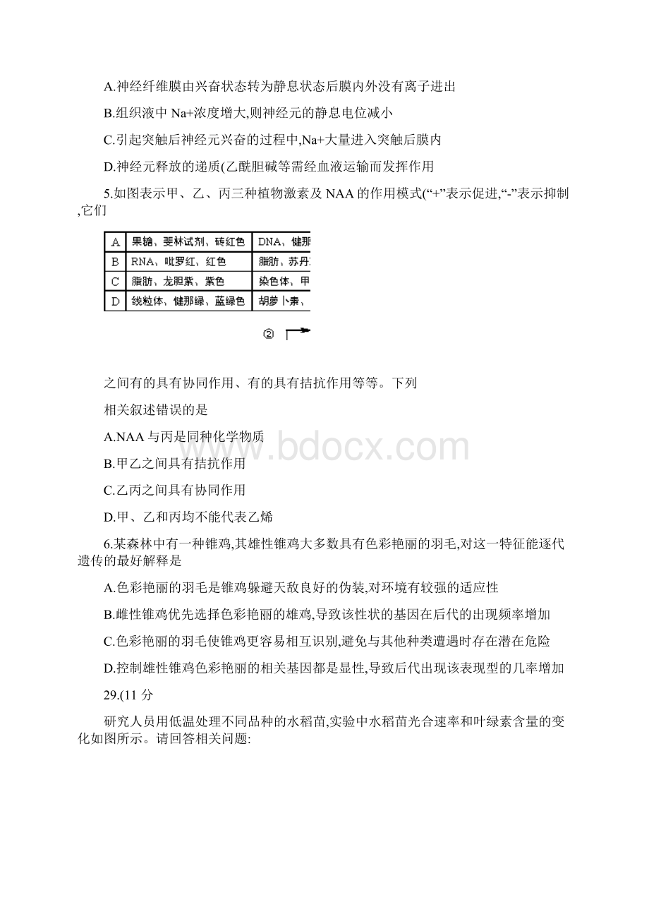 湖北省武汉市武昌区届高三元月调研考试 理综重点Word格式.docx_第2页