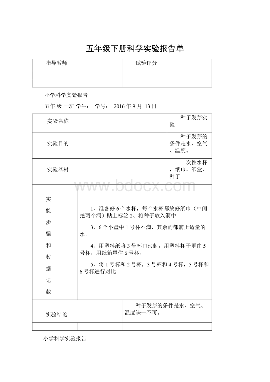 五年级下册科学实验报告单Word格式.docx