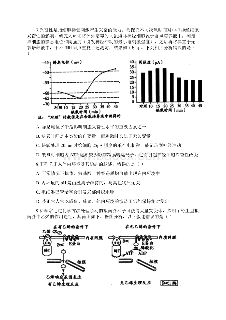 届山东省潍坊市高三二模生物试题.docx_第3页