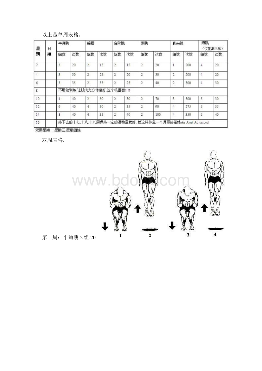 aa4美国弹跳训练计划.docx_第2页