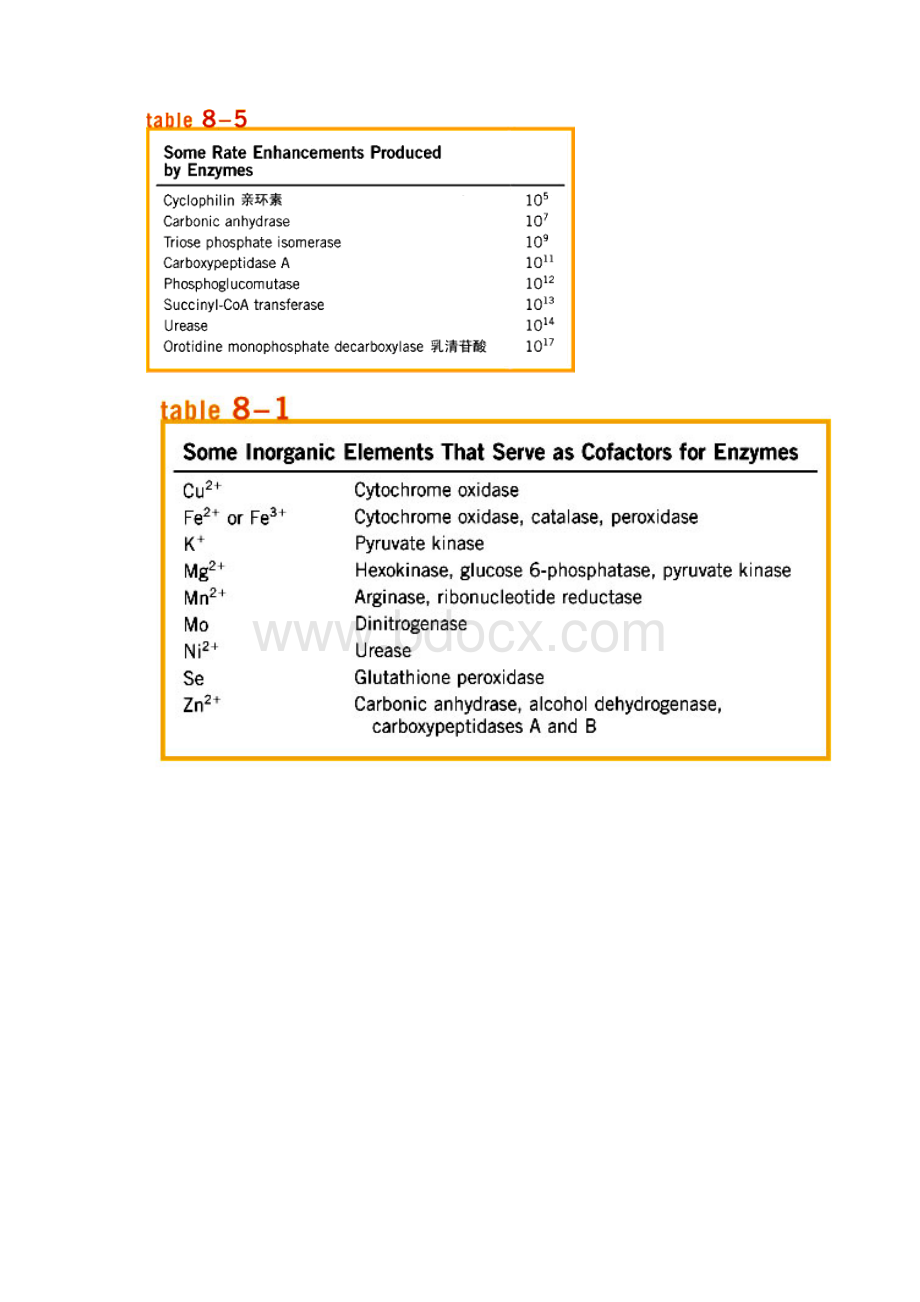 第八章 酶通论.docx_第3页