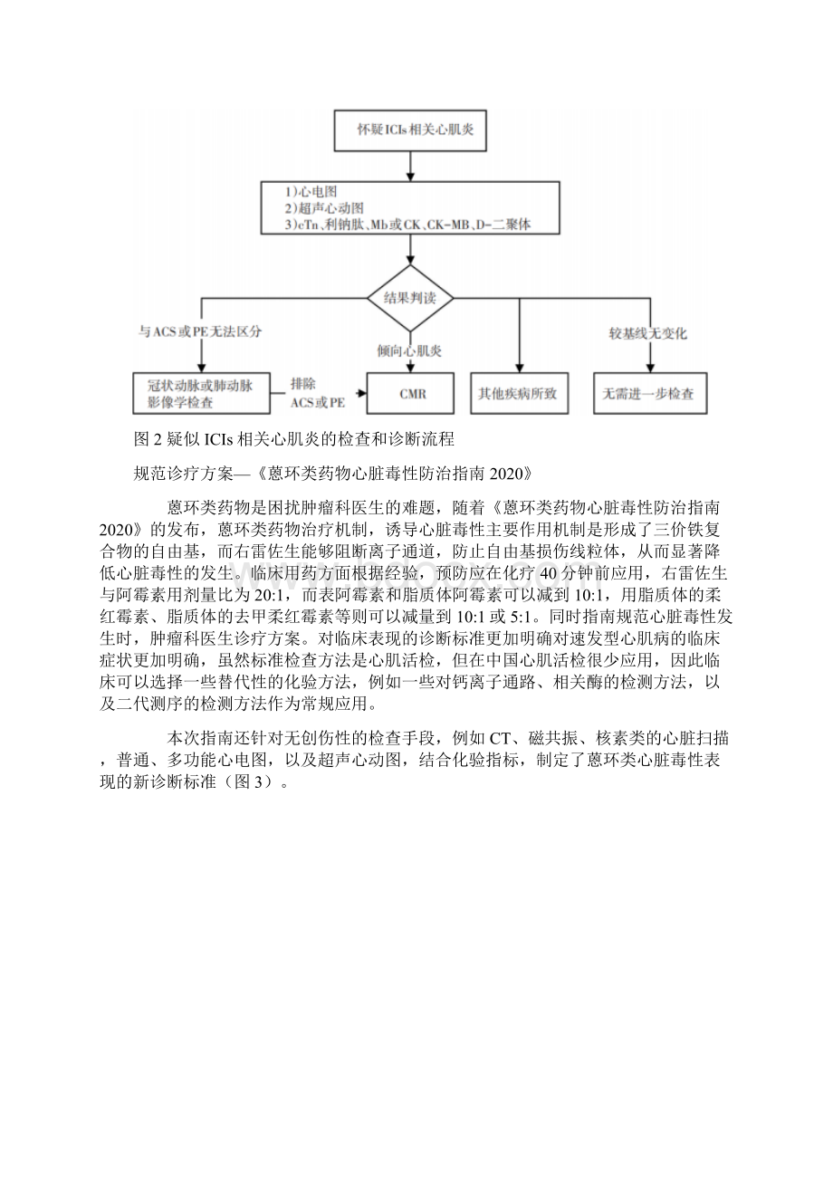 完整版肿瘤心脏病领域学科进展.docx_第3页