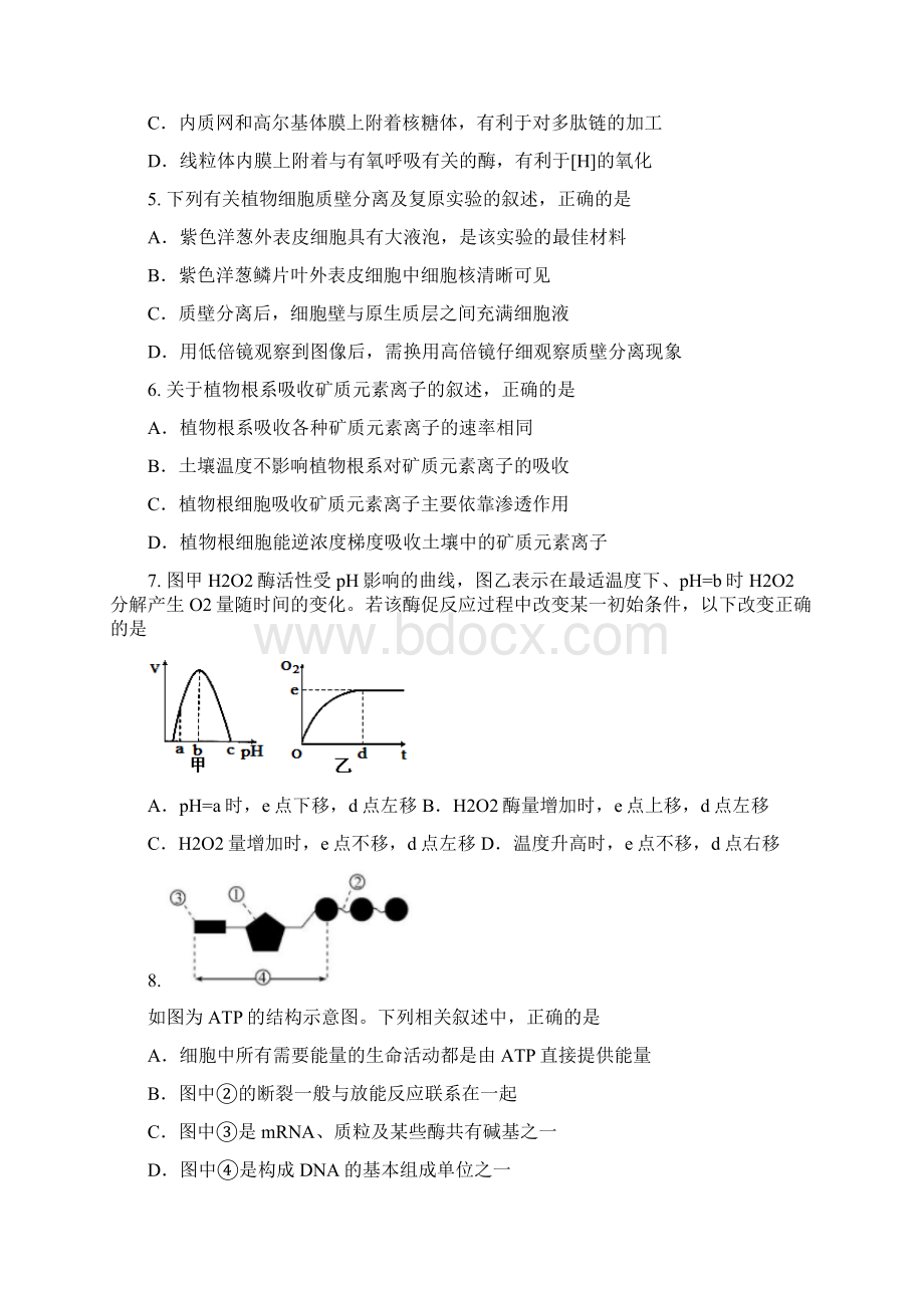 湖南省衡阳市届高三上学期第二次月考试题生物Word版含答案Word下载.docx_第2页