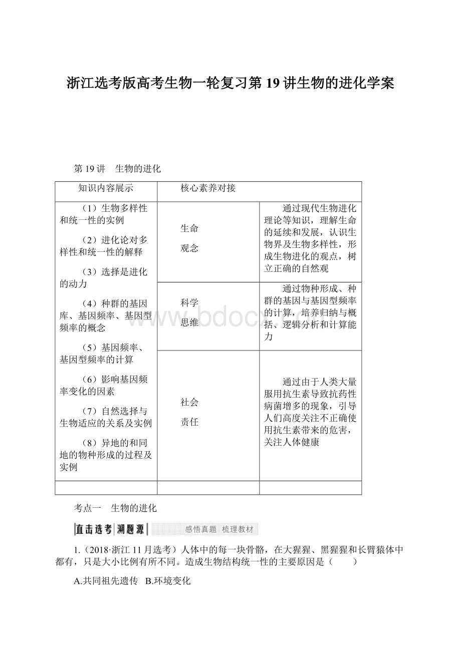 浙江选考版高考生物一轮复习第19讲生物的进化学案Word格式.docx