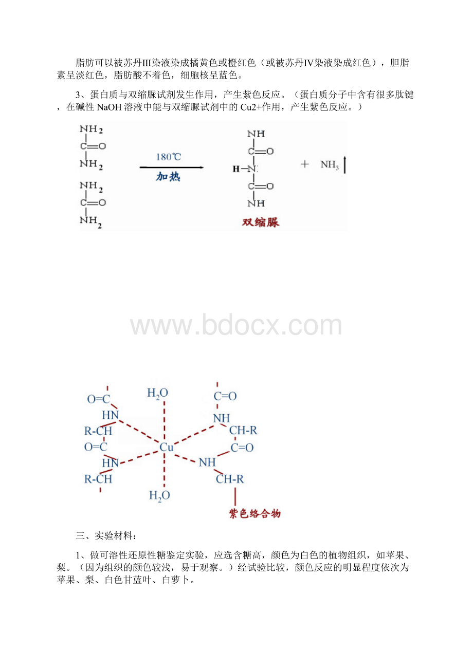 高中生物实验大全详Word文件下载.docx_第3页