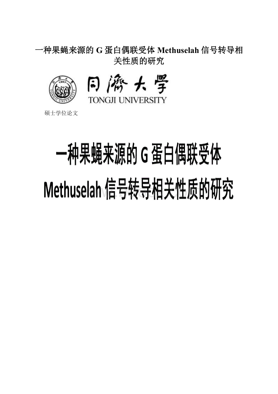 一种果蝇来源的G蛋白偶联受体Methuselah信号转导相关性质的研究.docx