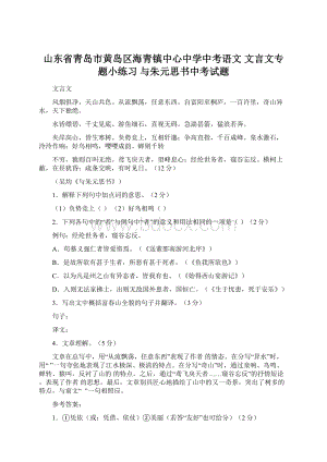 山东省青岛市黄岛区海青镇中心中学中考语文 文言文专题小练习 与朱元思书中考试题Word文档格式.docx