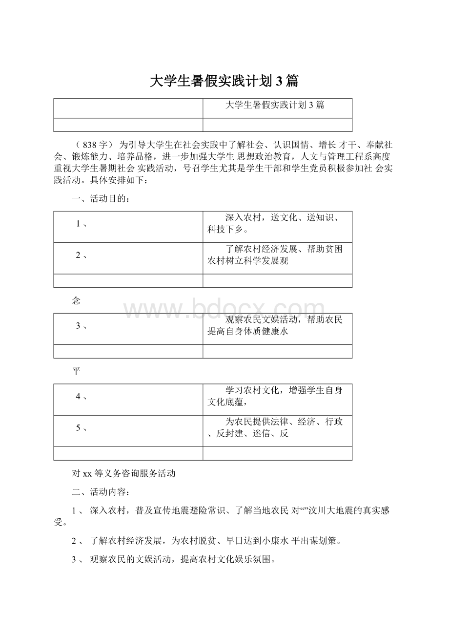 大学生暑假实践计划3篇Word格式文档下载.docx