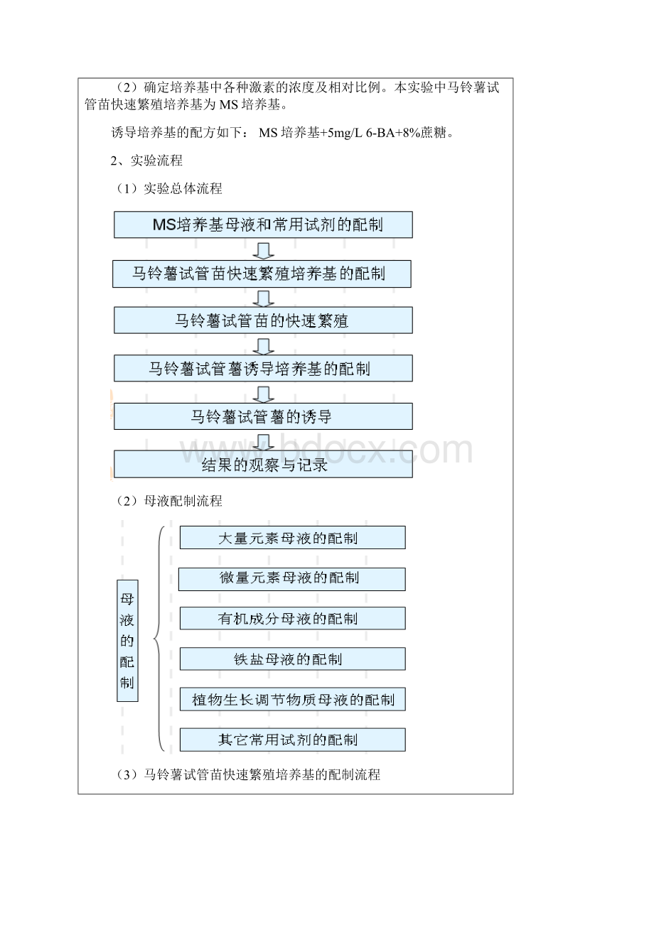 马铃薯快速繁殖实验结果.docx_第3页