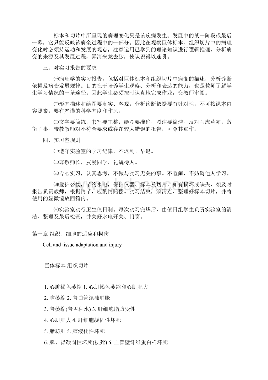 病理学实习指导.docx_第3页