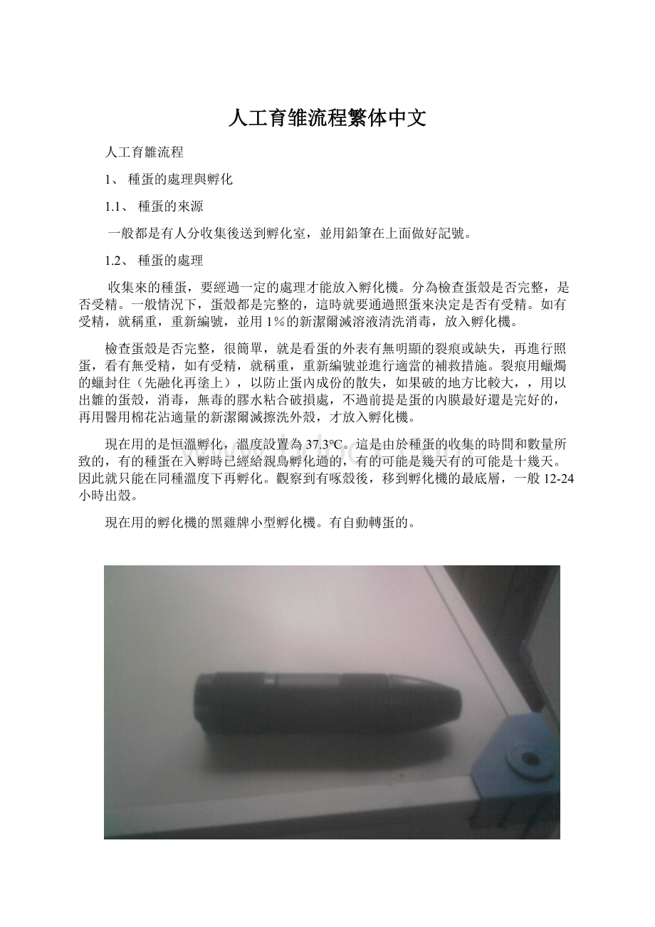 人工育雏流程繁体中文Word下载.docx