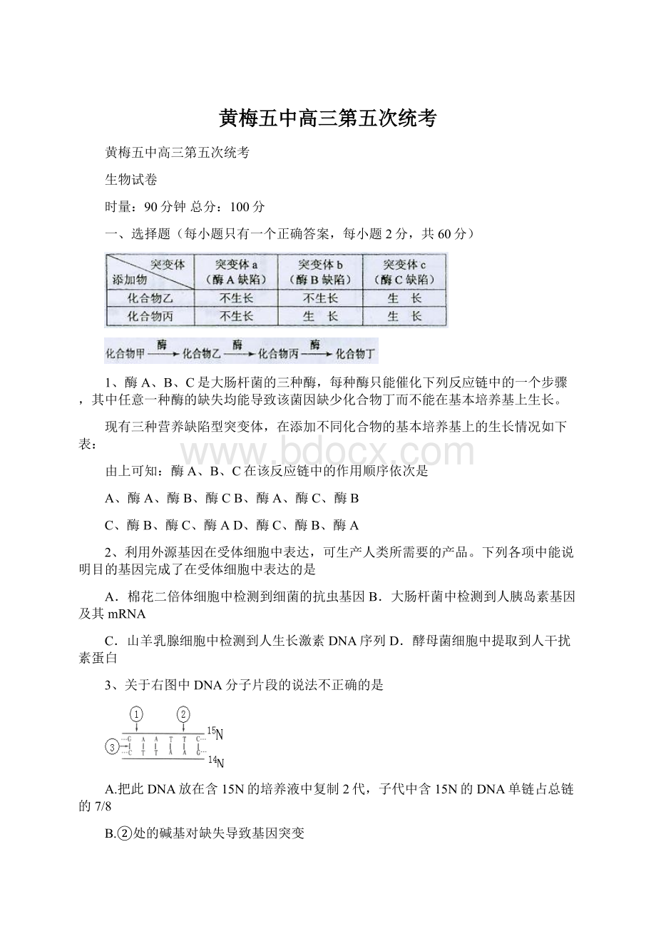 黄梅五中高三第五次统考.docx_第1页