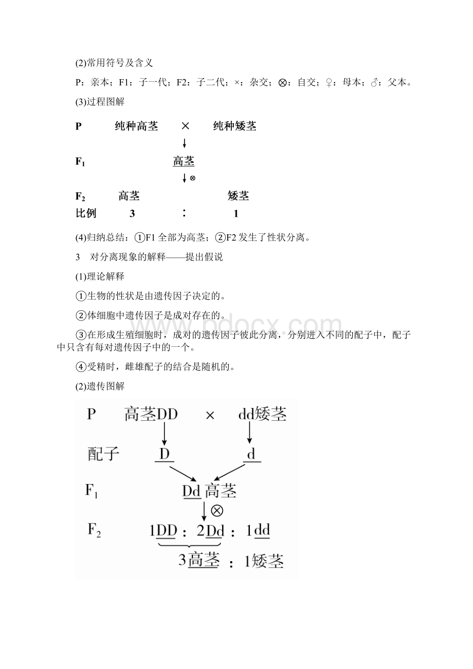 届生物一轮教学案专题11考点一 孟德尔遗传实验.docx_第2页