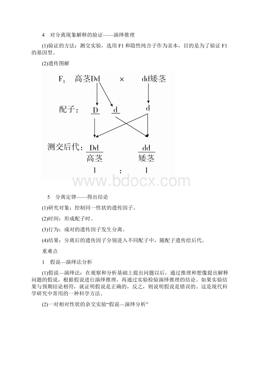 届生物一轮教学案专题11考点一 孟德尔遗传实验.docx_第3页