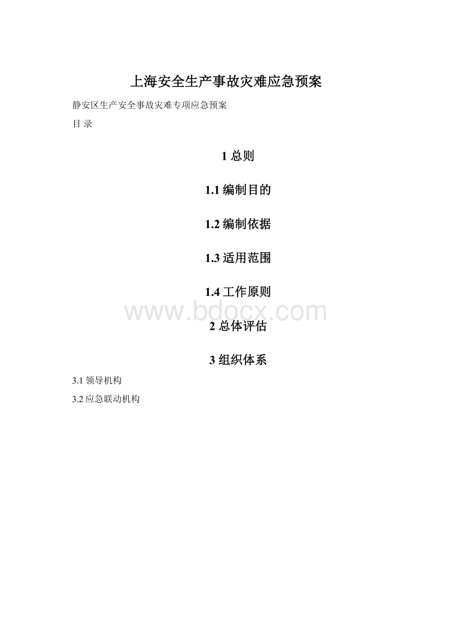 上海安全生产事故灾难应急预案Word格式文档下载.docx_第1页