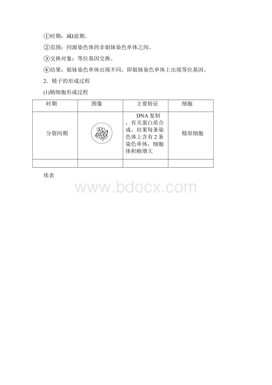 届高考生物一轮复习第13讲减数分裂和受精作用培优学案文档格式.docx_第2页