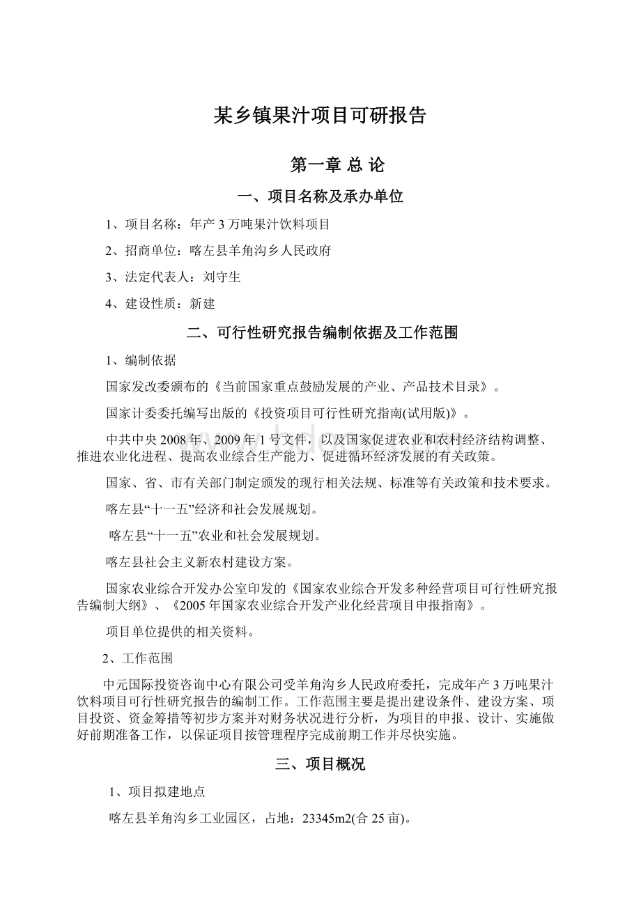 某乡镇果汁项目可研报告Word下载.docx