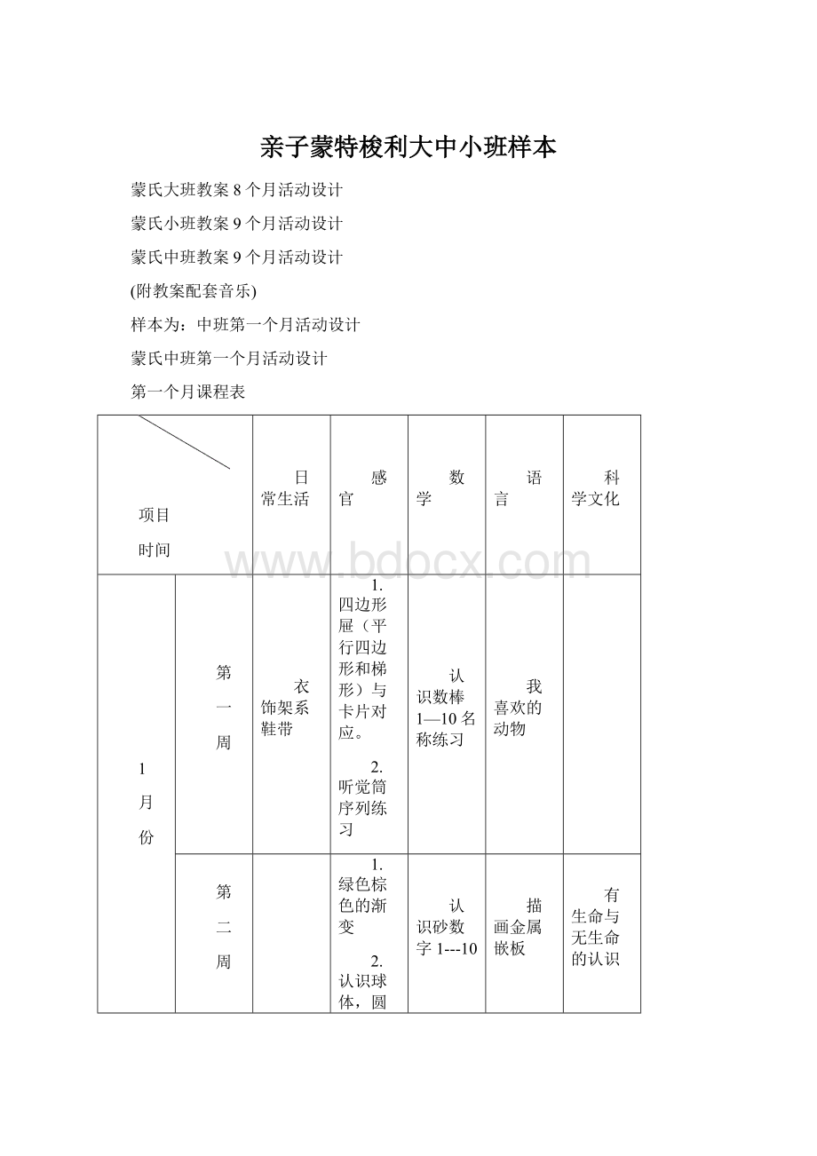 亲子蒙特梭利大中小班样本Word文档格式.docx