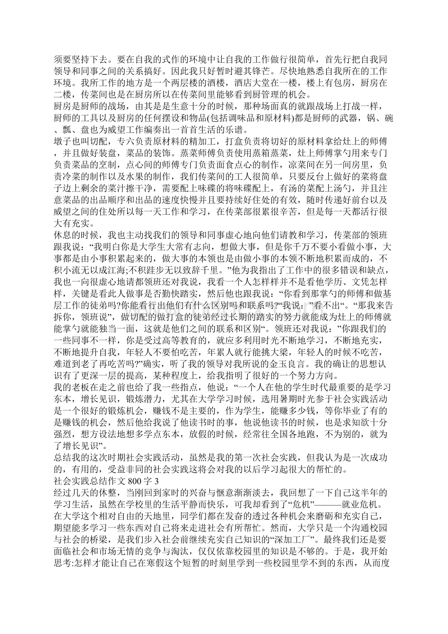 社会实践总结作文800字社会实践总结作文范本.docx_第3页