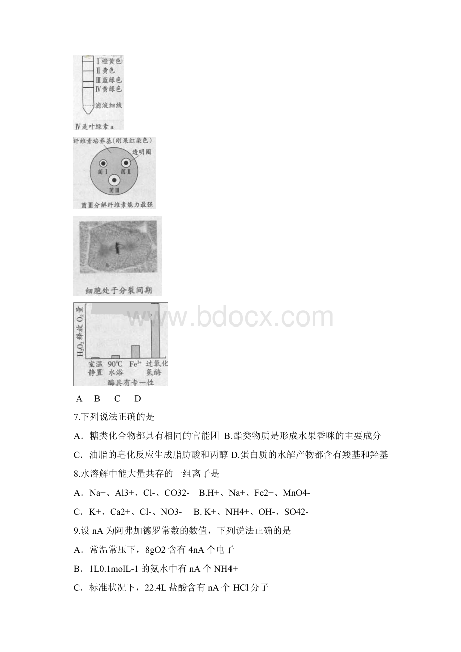 普通高等学校招生全国统一考试理科综合广东卷文档格式.docx_第3页