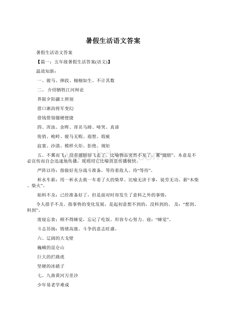 暑假生活语文答案文档格式.docx