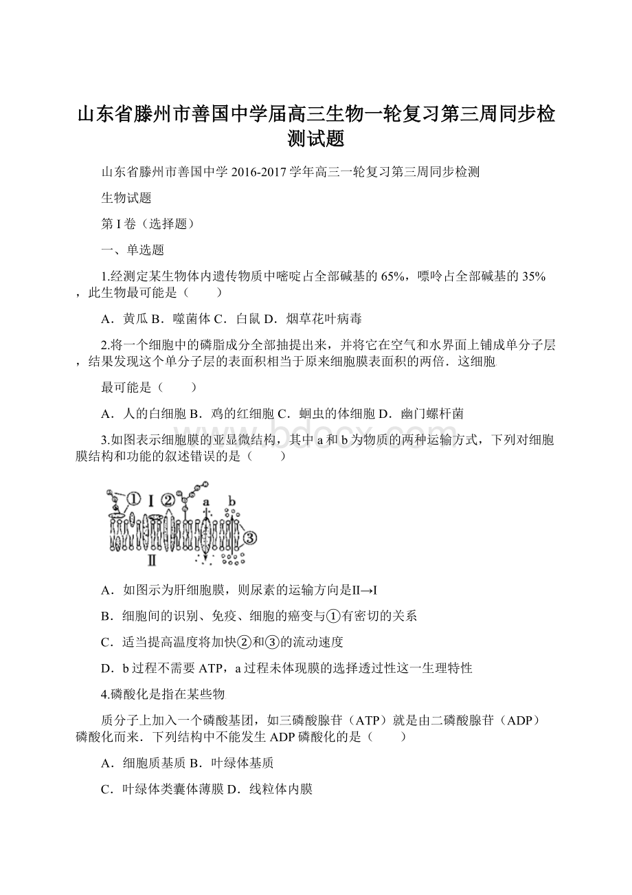 山东省滕州市善国中学届高三生物一轮复习第三周同步检测试题.docx_第1页