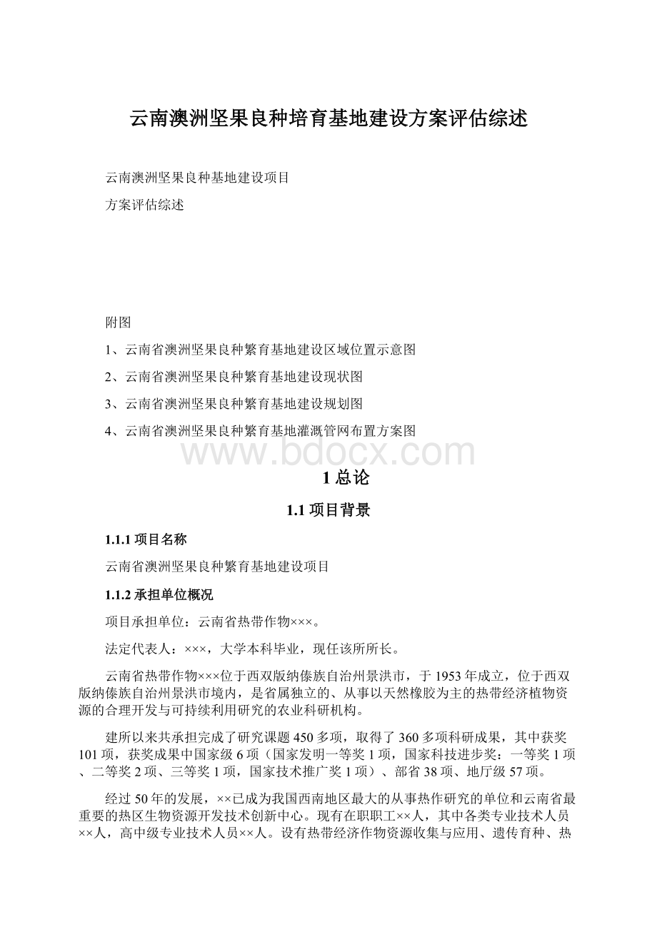 云南澳洲坚果良种培育基地建设方案评估综述Word文档格式.docx