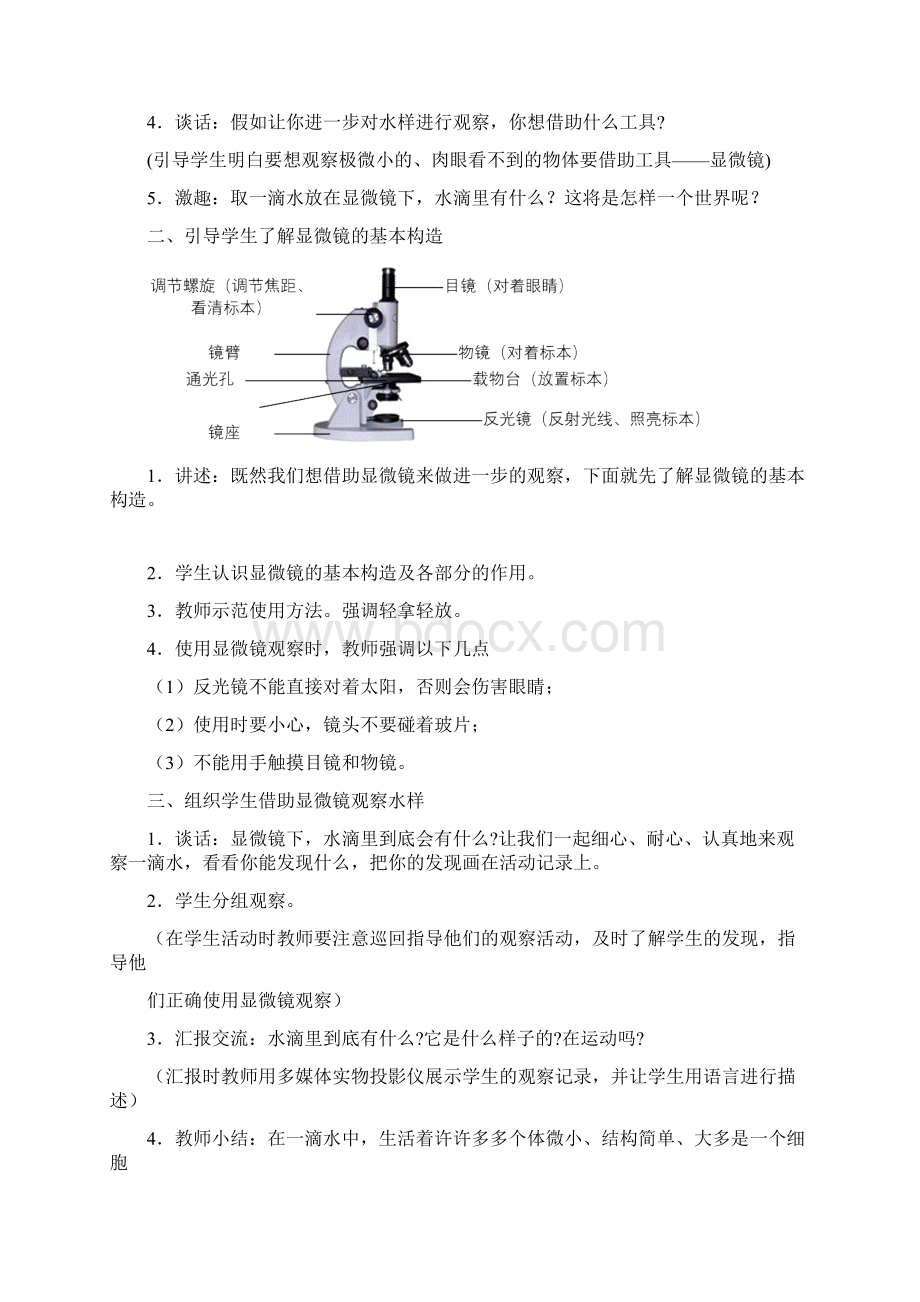 六年级科学上册江苏版docWord文档下载推荐.docx_第2页