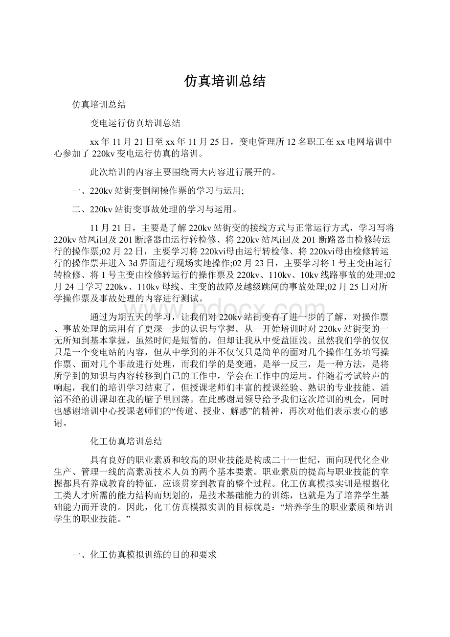 仿真培训总结Word格式文档下载.docx