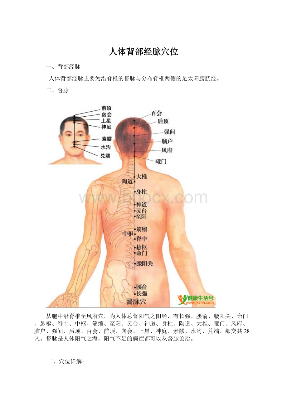 人体背部经脉穴位Word格式文档下载.docx