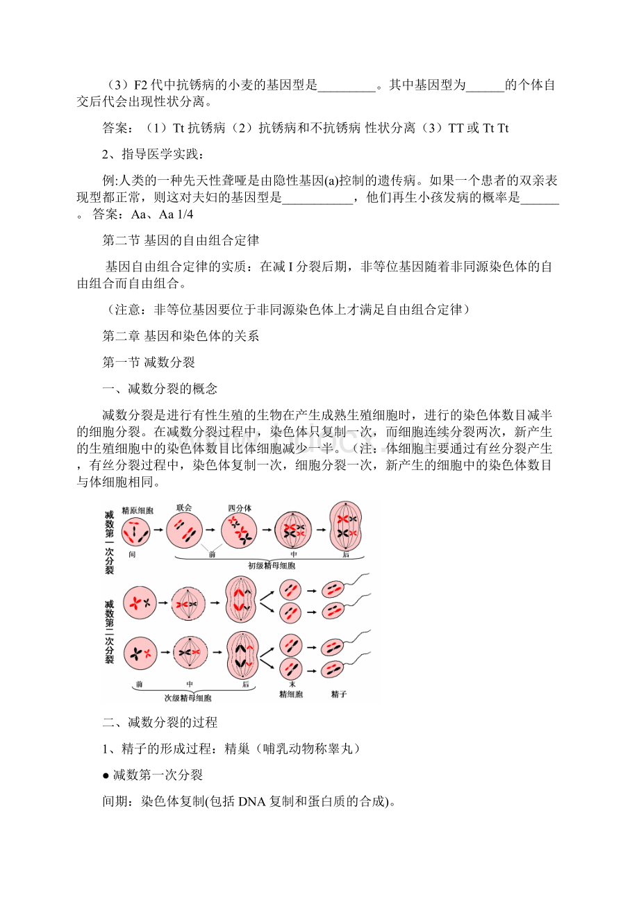 生物会考知识点复习必修2.docx_第2页