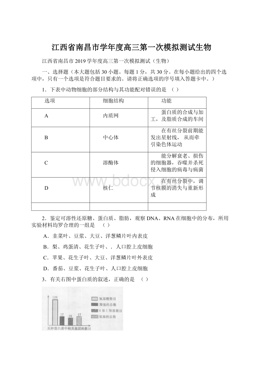 江西省南昌市学年度高三第一次模拟测试生物Word文档下载推荐.docx