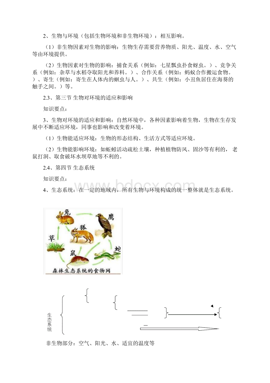 人教版生物七年级上册知识点复习提纲Word文档格式.docx_第2页