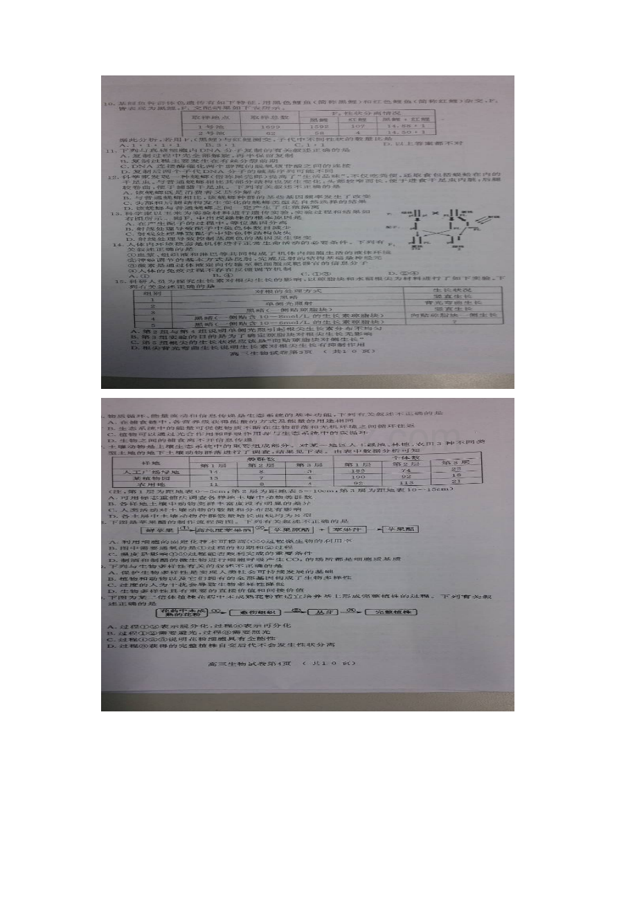 江苏省南京市盐城市届高三第一次模拟生物试题 扫描版含答案Word格式文档下载.docx_第2页