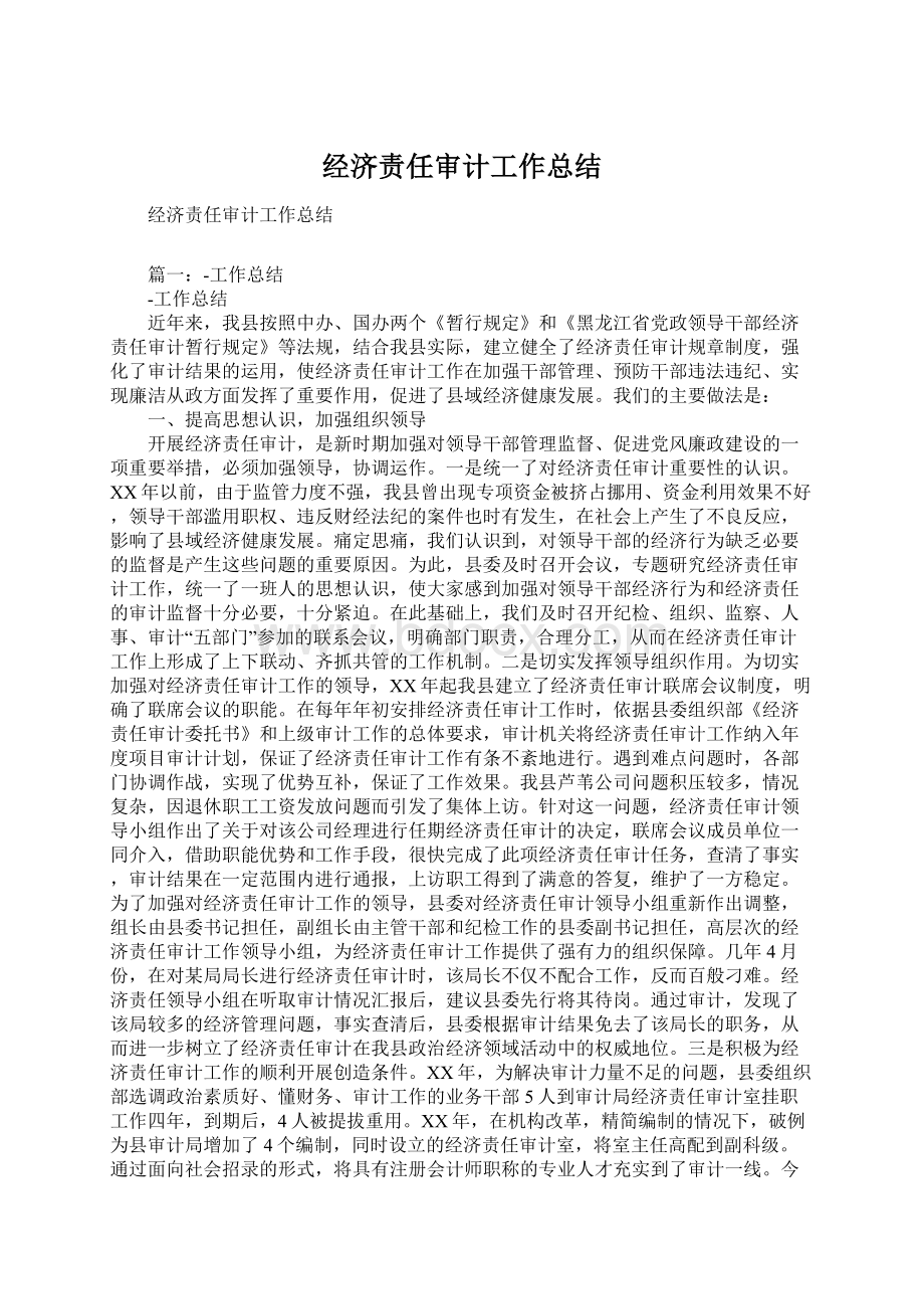 经济责任审计工作总结.docx_第1页