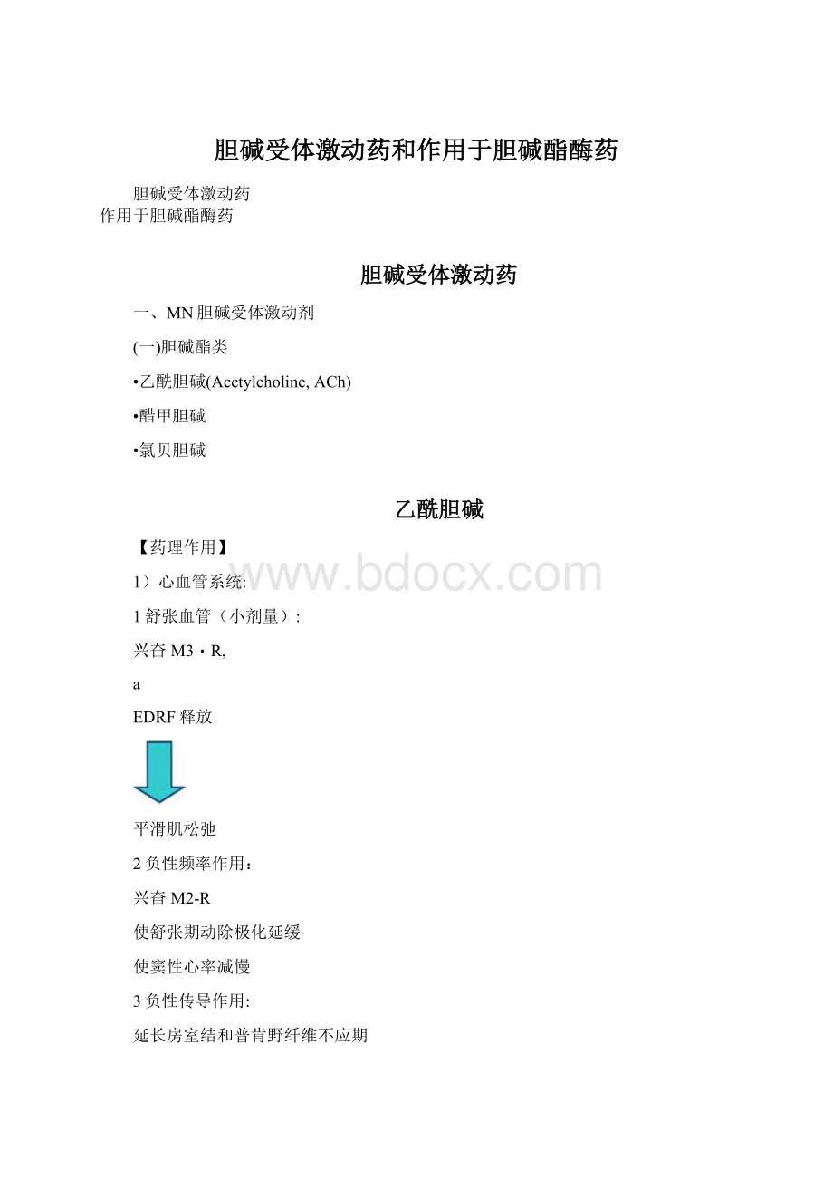 胆碱受体激动药和作用于胆碱酯酶药Word格式.docx