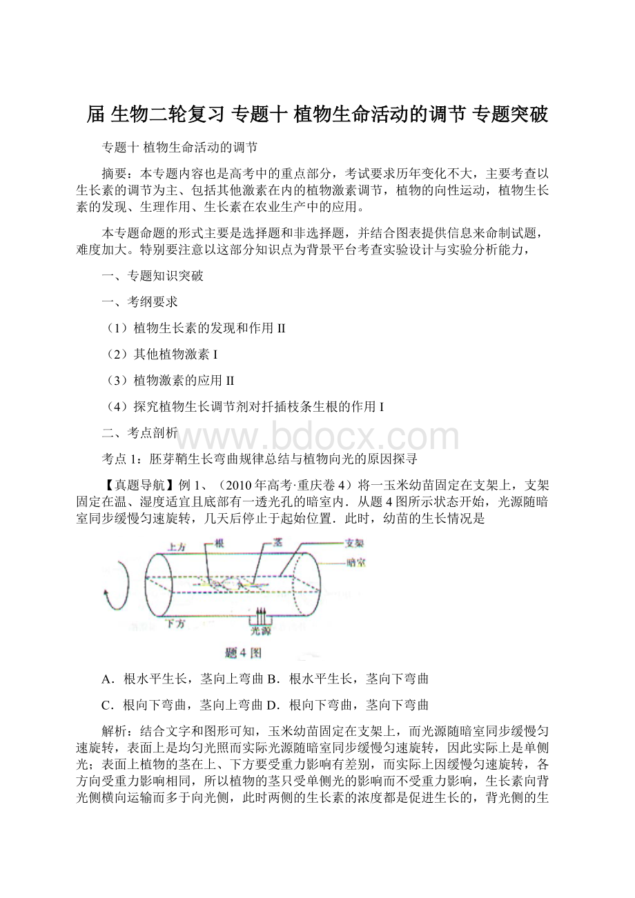 届 生物二轮复习 专题十 植物生命活动的调节 专题突破Word文档格式.docx_第1页