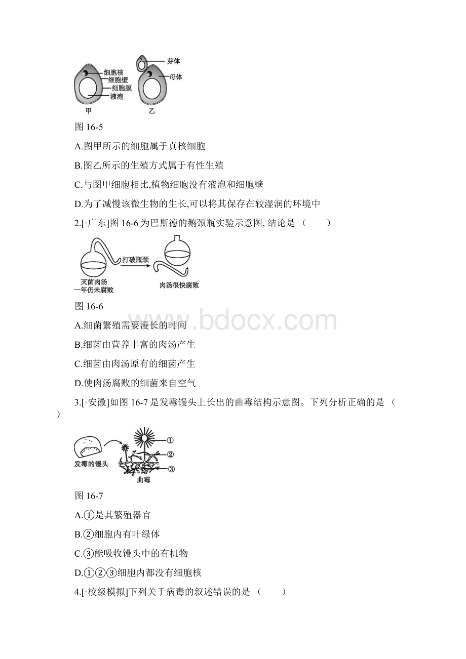 中考生物第五单元生物圈中的其他生物第16课时生物圈中的微生物复习练习.docx_第2页