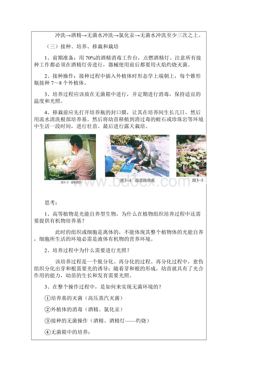 第九节 菊花的组织培养二Word格式文档下载.docx_第2页