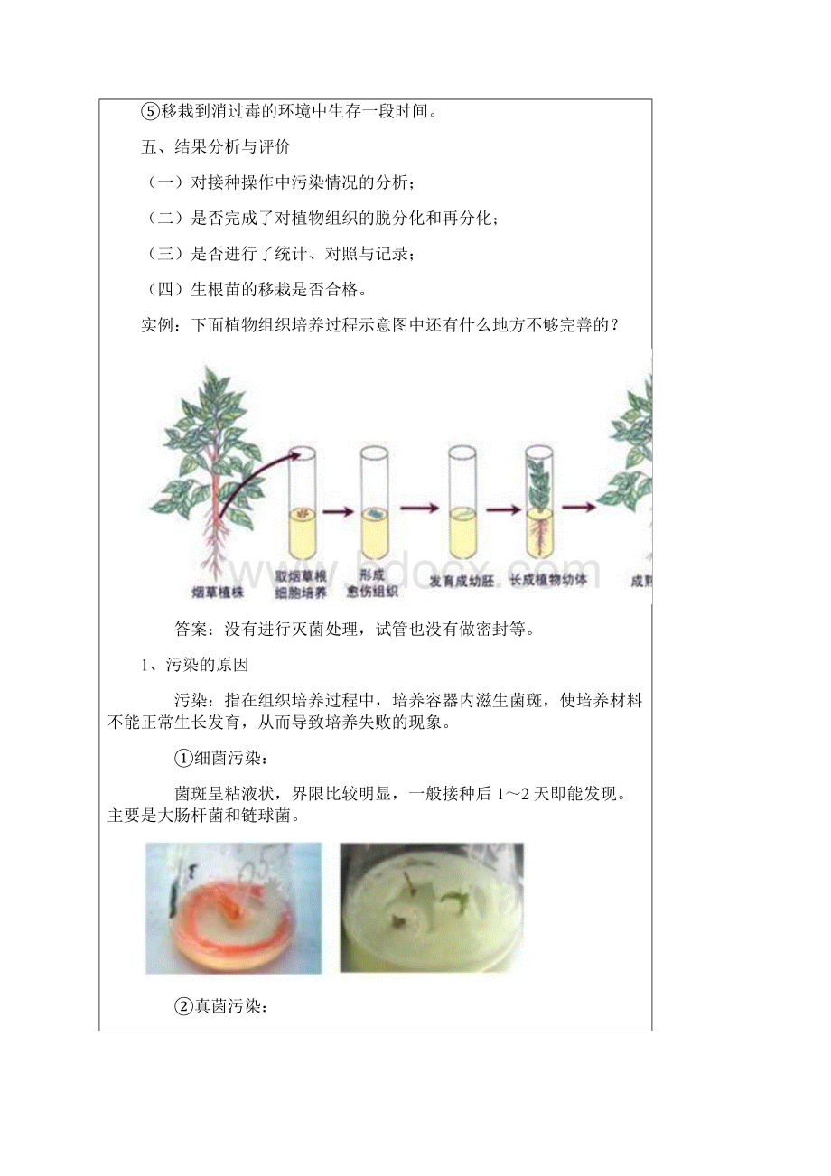 第九节 菊花的组织培养二Word格式文档下载.docx_第3页