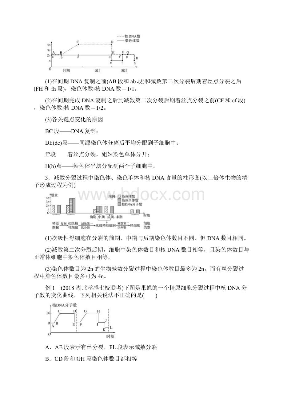 学年人教版减数分裂中染色体DNA等数目的变化规律及细胞图像识别教案文档格式.docx_第2页